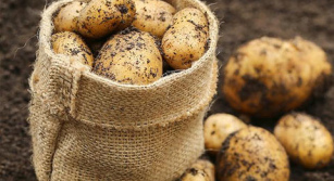 Вимоги до зовнішніх факторів