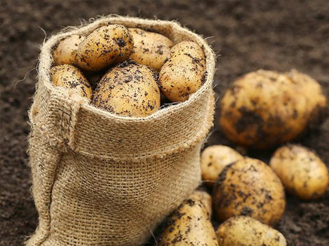 Вимоги до зовнішніх факторів